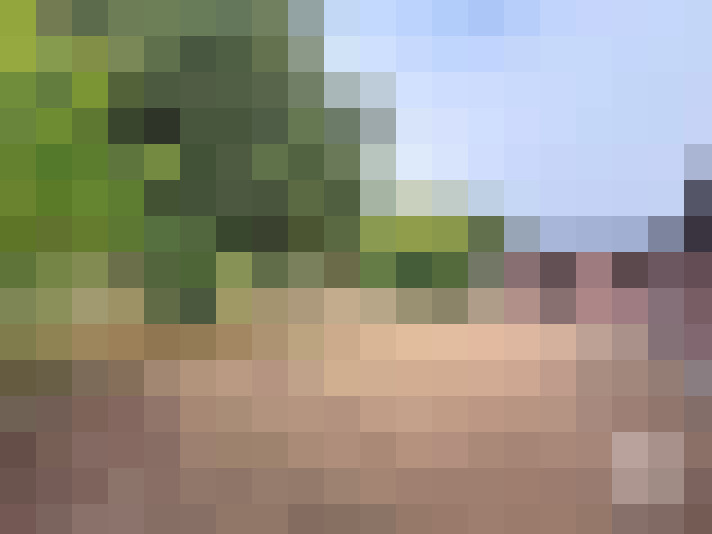  / #16