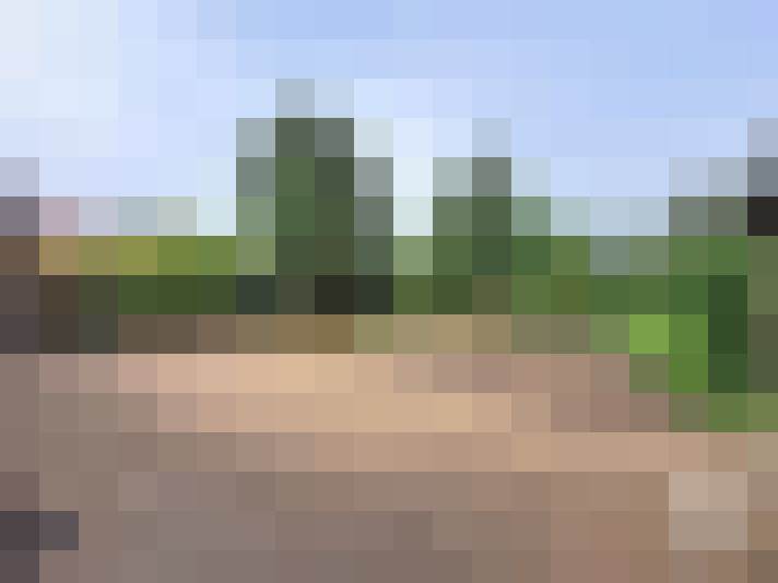  / #13