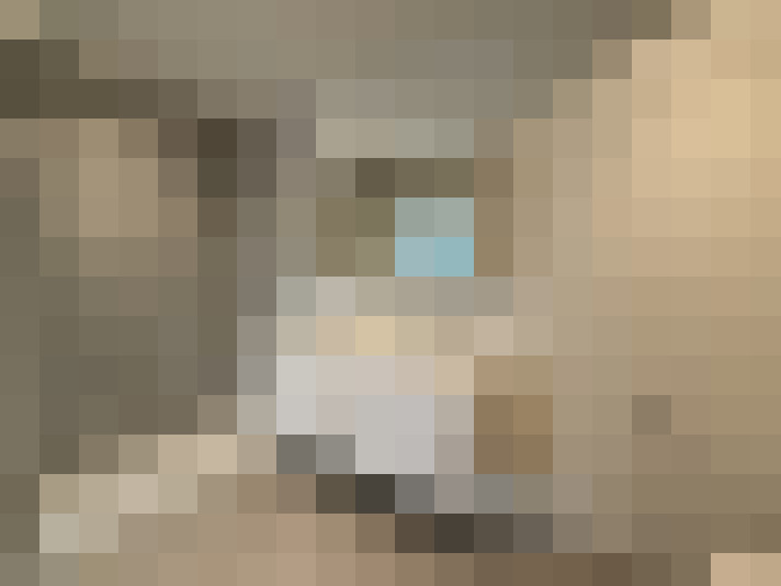  / #9