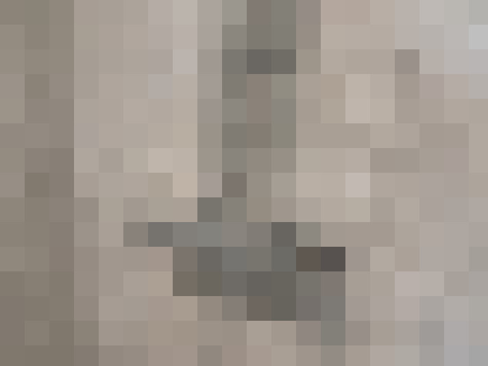  / #11