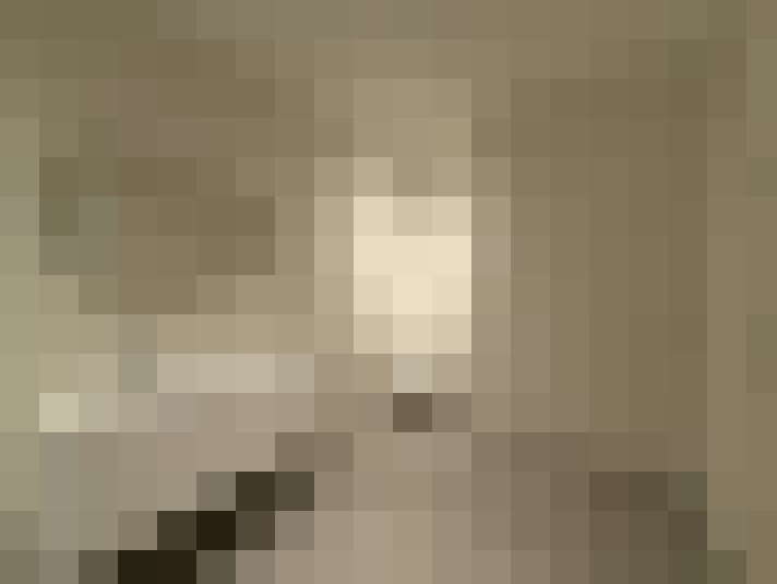  / #11