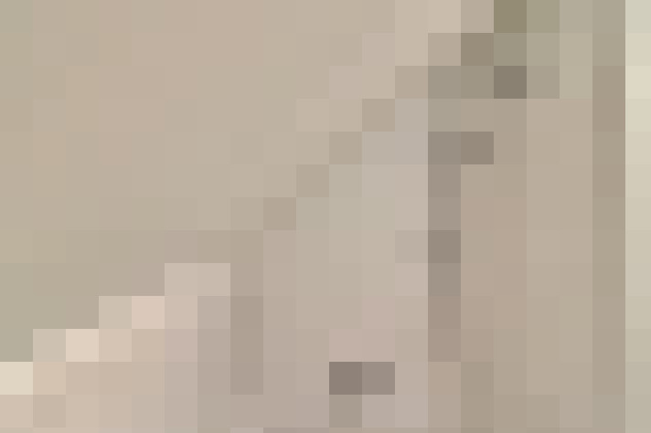  / #21