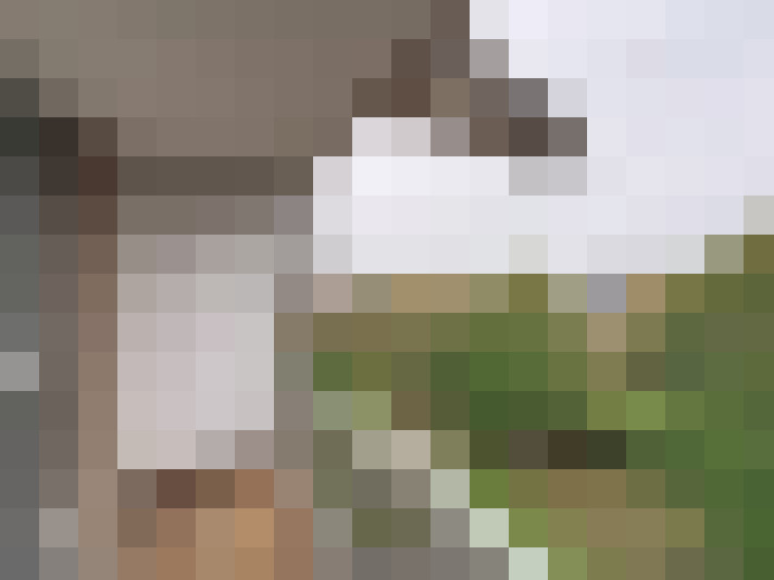  / #8