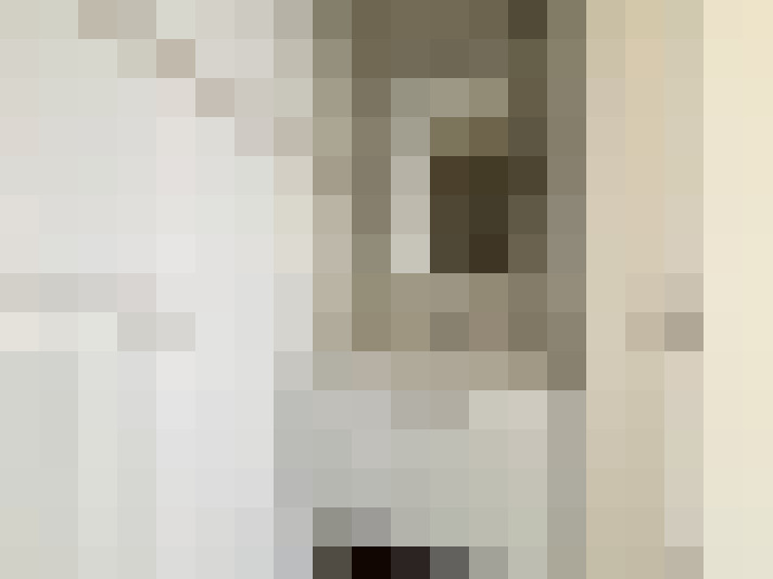  / #11