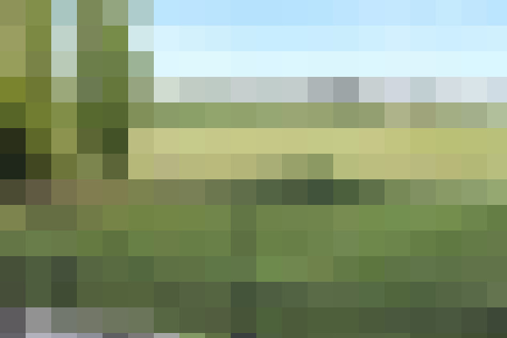  / #15