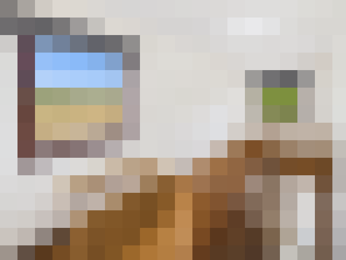  / #15