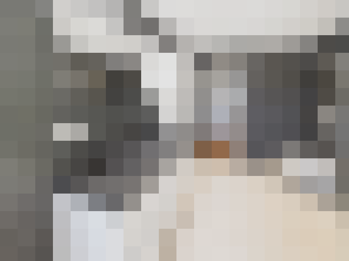  / #14