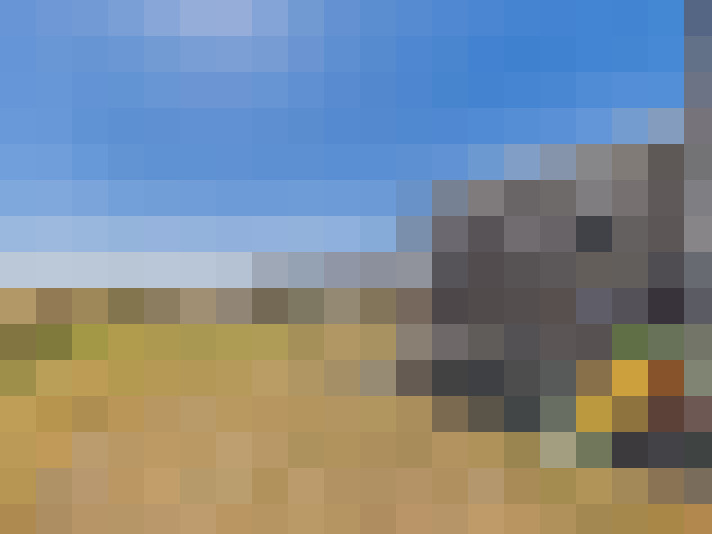  / #16