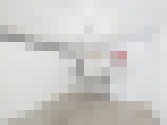  / #16