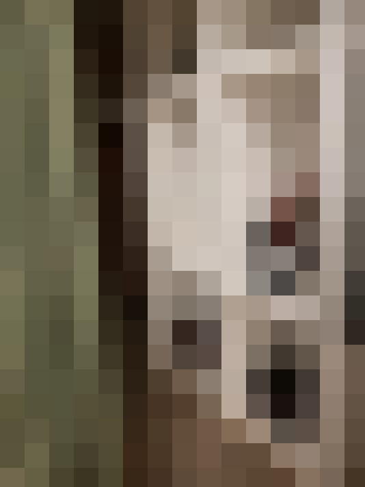  / #16