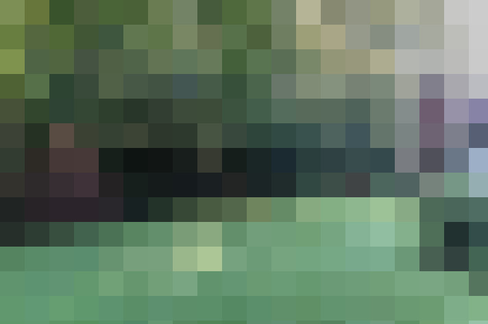  / #20