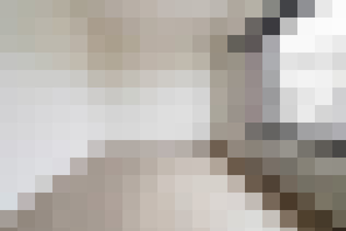  / #13