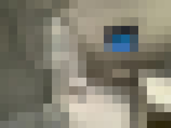  / #8