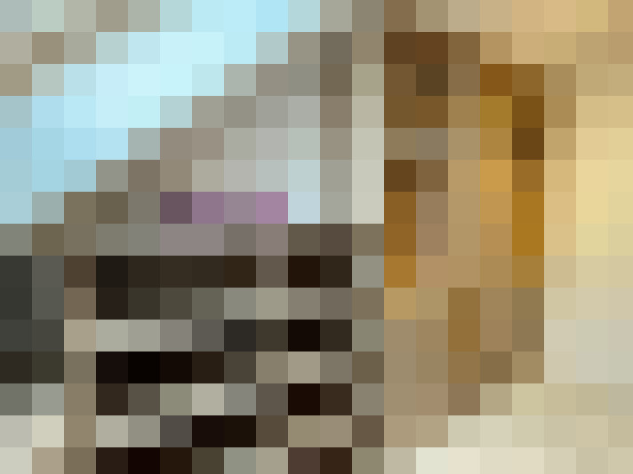  / #15