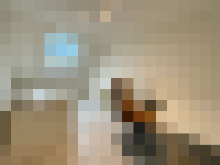 / #13