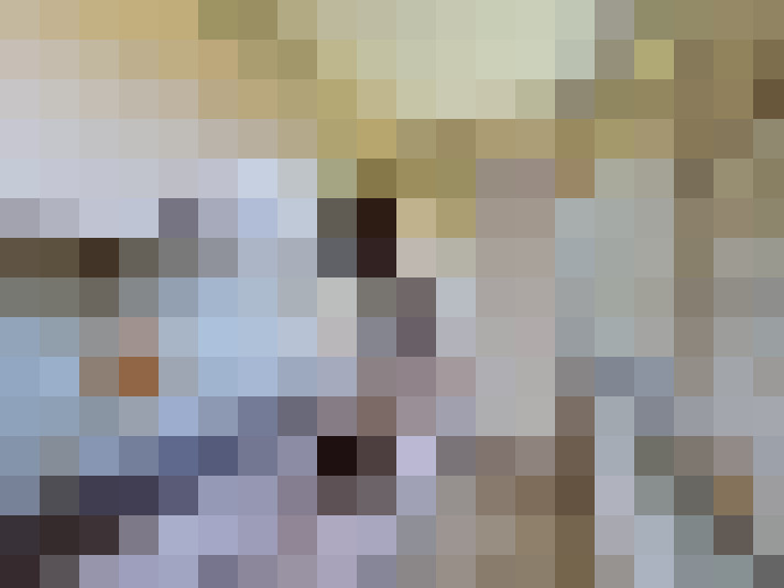  / #14