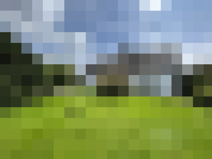  / #11