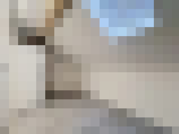  / #12