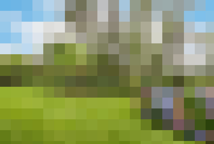  / #14