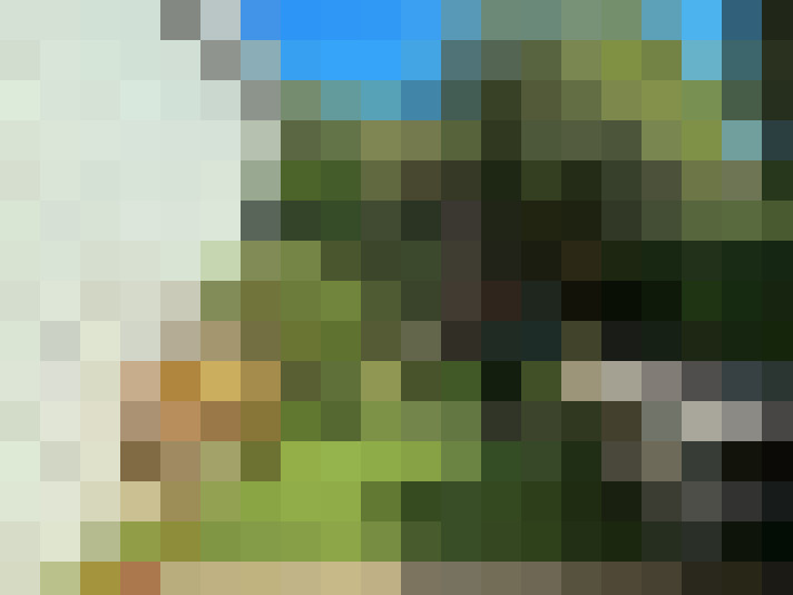 / #7