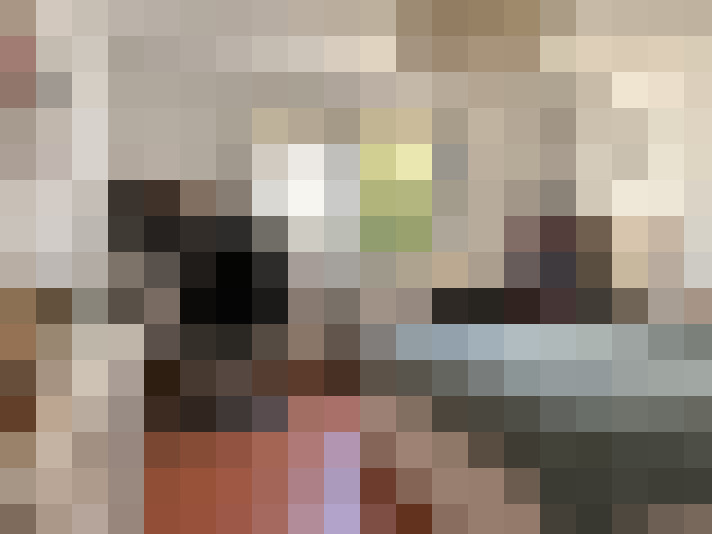  / #14