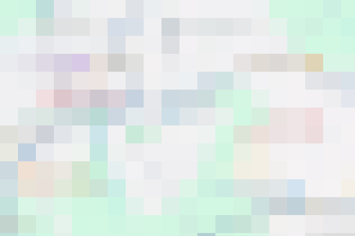  / #19