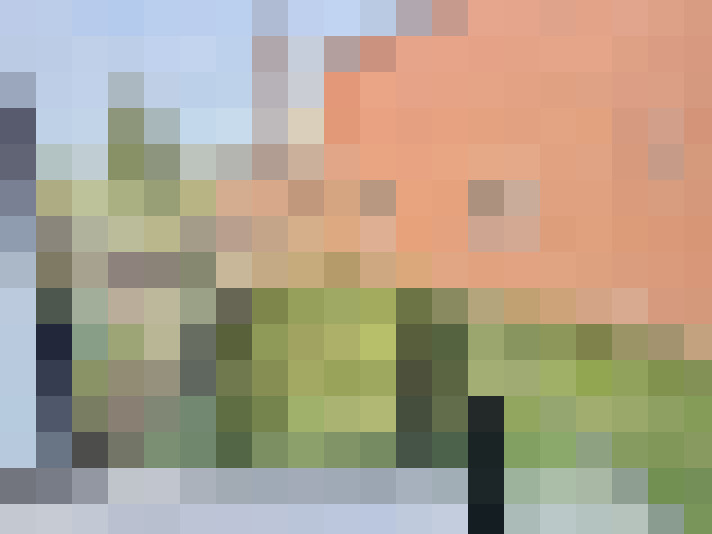  / #14