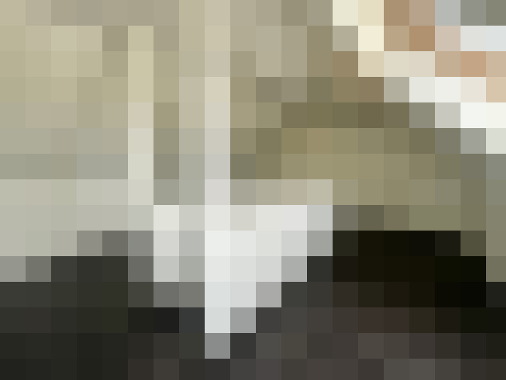  / #17