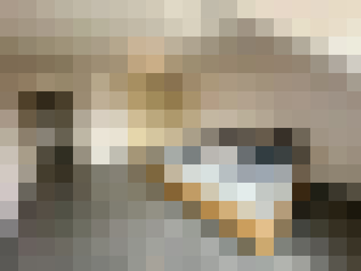  / #15