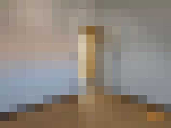  / #19