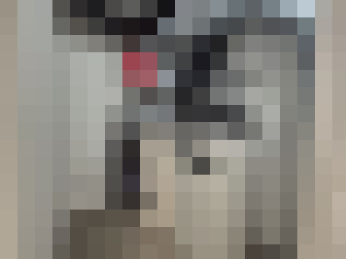  / #19