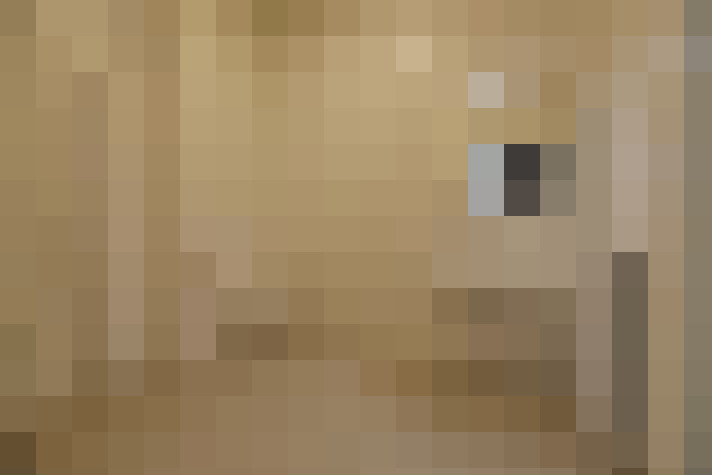  / #11