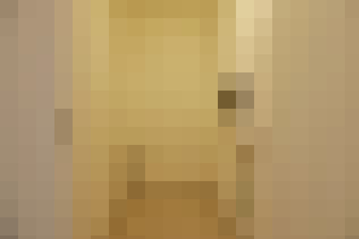 / #17