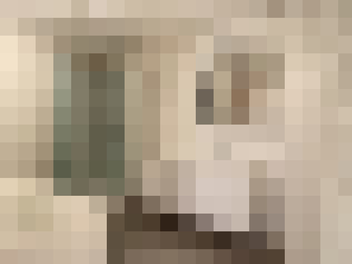  / #14