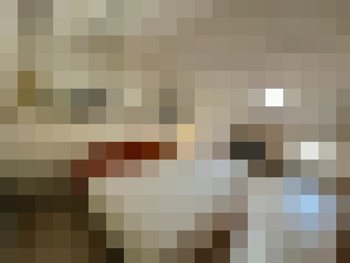  / #8