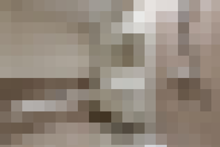  / #19