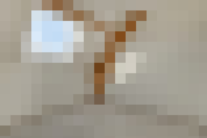  / #21