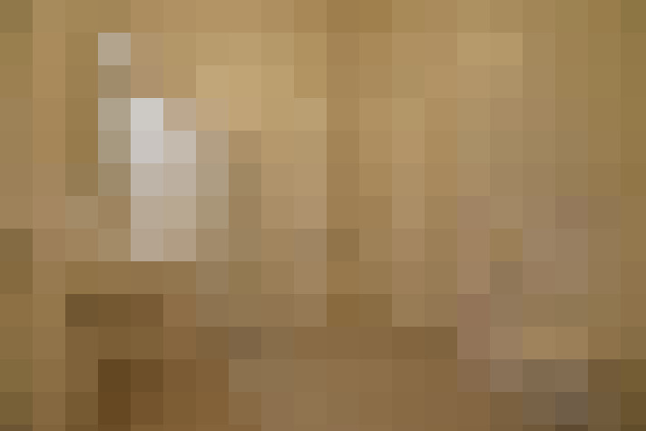  / #11