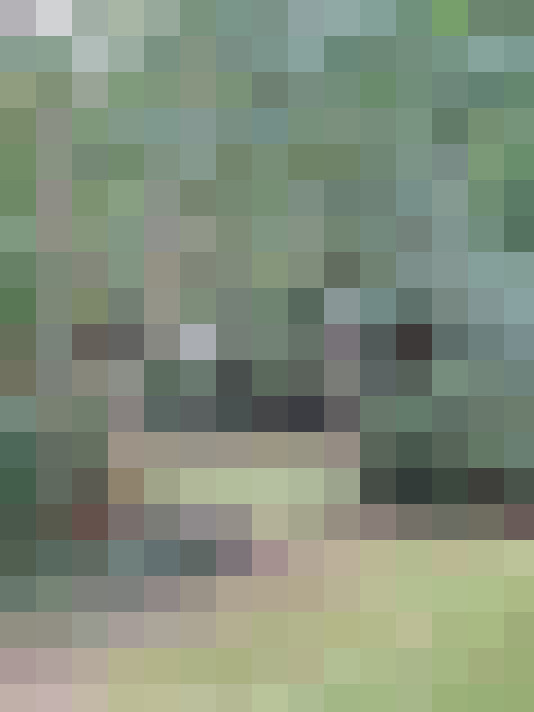  / #17