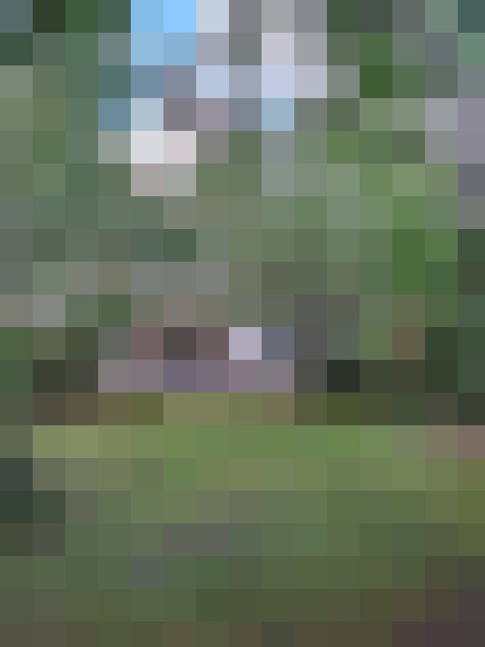  / #16