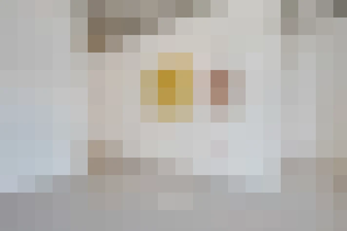 / #15