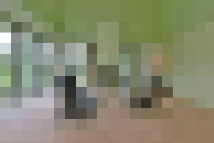  / #7
