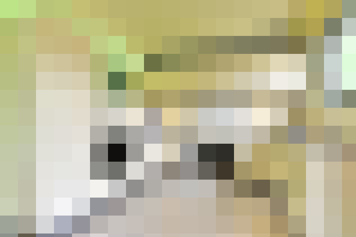  / #14
