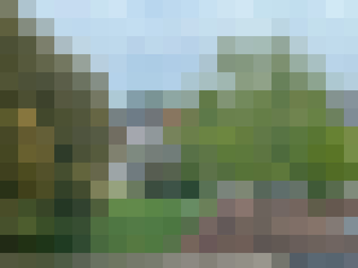  / #16