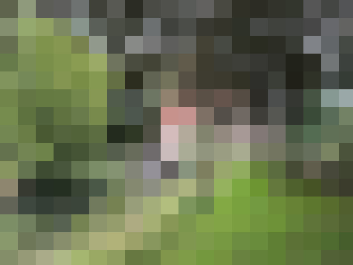  / #19