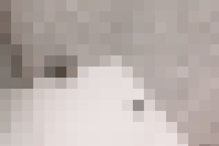  / #16