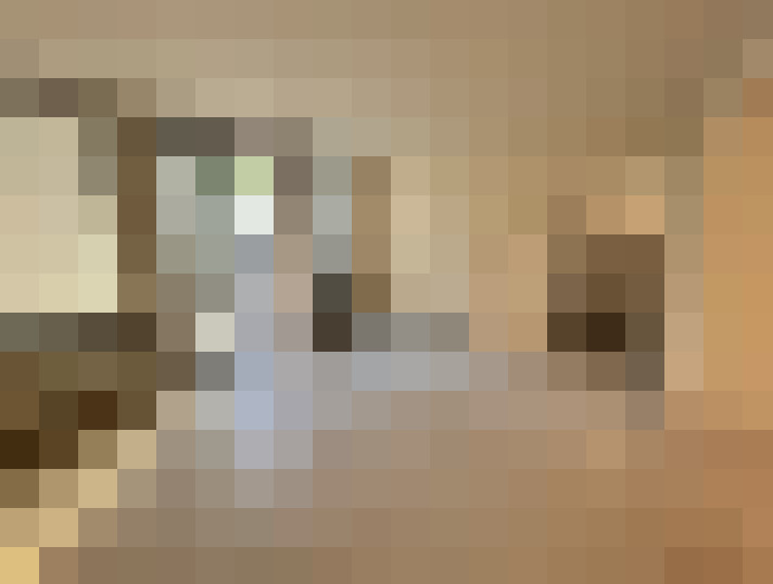  / #12