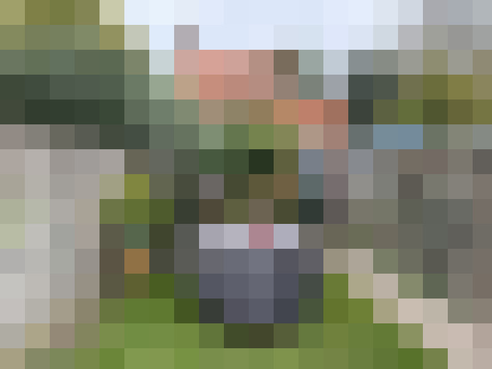  / #14