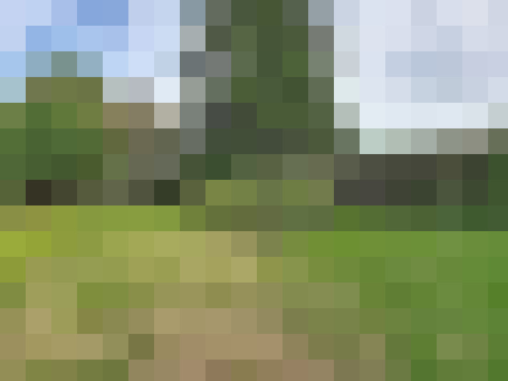  / #15