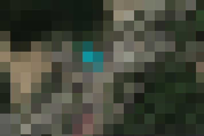  / #21